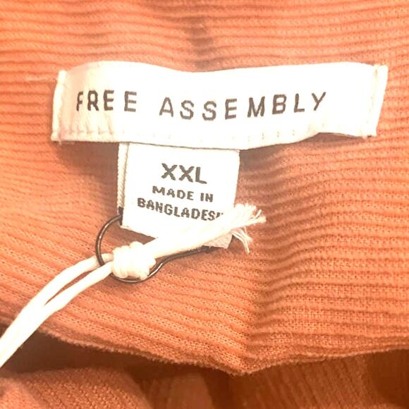 Free Assembly Prairie Dress 2XL Peach Tiered Corduroy Balloon Sleeve Boho NEW - Picture 3 of 10